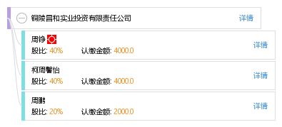 铜陵昌和实业投资有限责任公司 实业投资的战略蓝图与价值创造