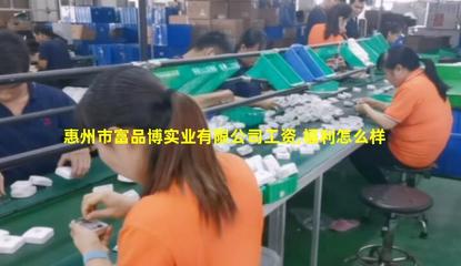 惠州市富品博实业 投资兴办实业的机遇与前景
